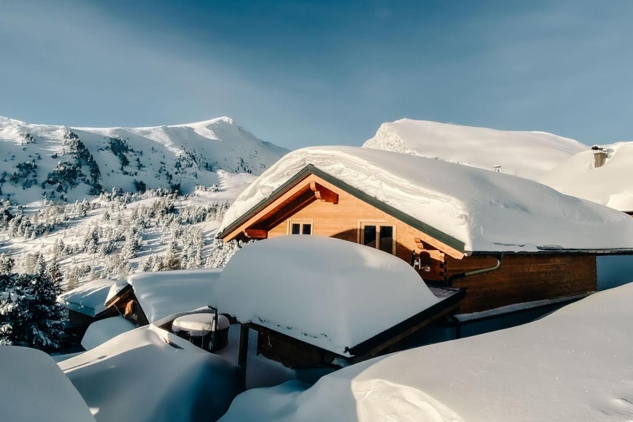 Heidi Chalets Falkert Heidialm - Chalets Bergwinter Patergassen Luaran gambar