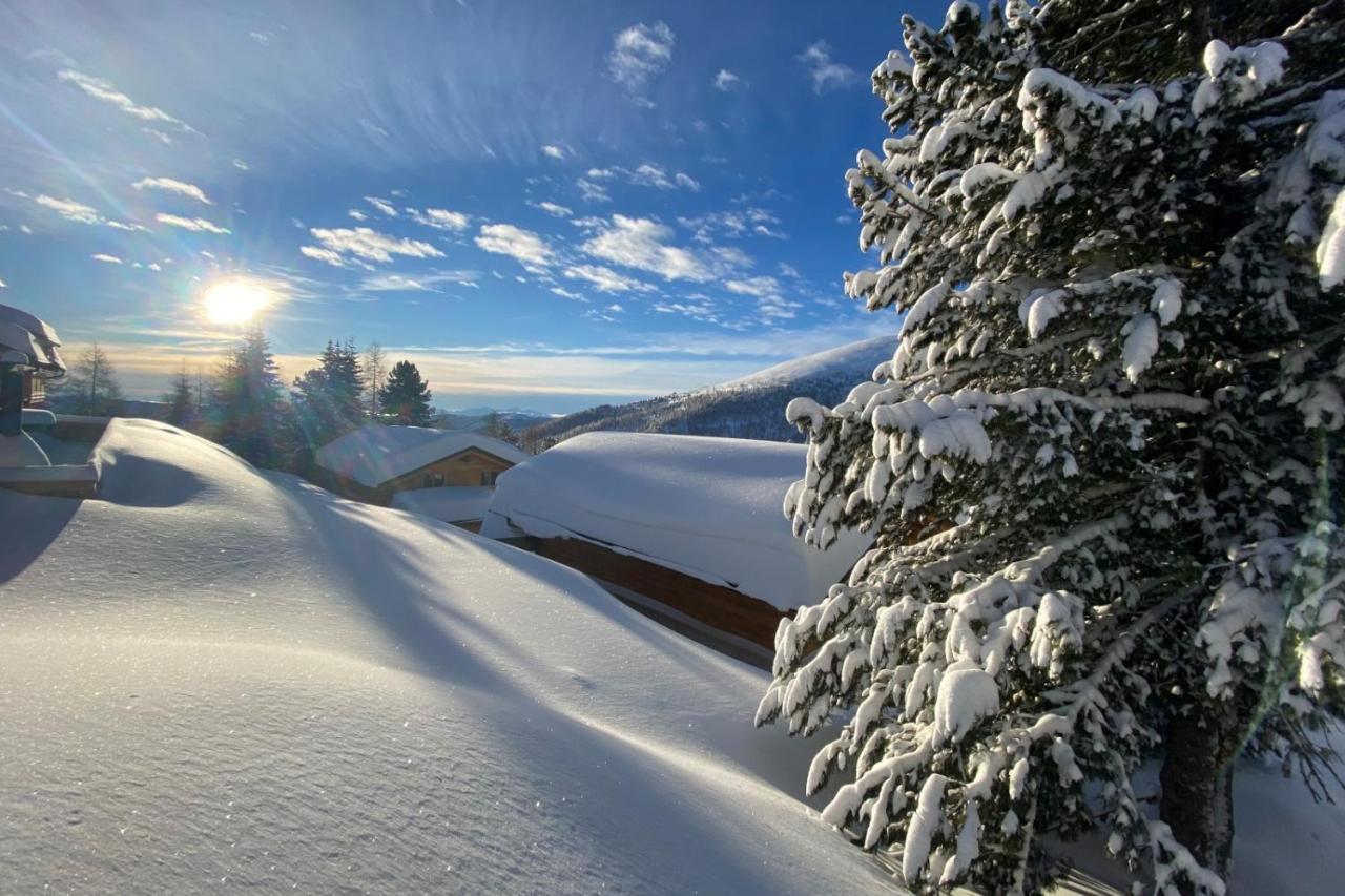 Heidi Chalets Falkert Heidialm - Chalets Bergwinter Patergassen Luaran gambar